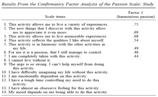 results from confirmatory factor analysis