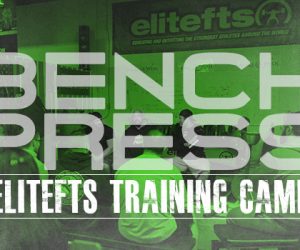 Week 11 Day 1 - Bench Openers and some training....