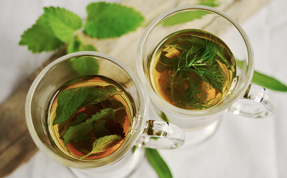 Boost Mood and Cognition: Differences Between Peppermint and Chamomile Herbal Teas 