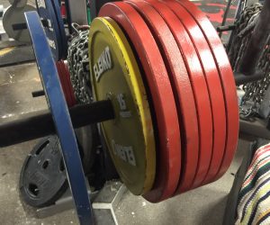 730 Bench- LIGHT Reverse band