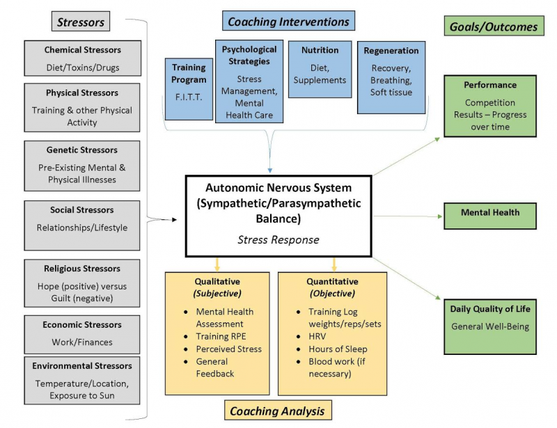 autonomic nervous system 