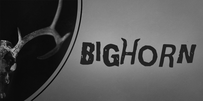 BIGHORN: Love and Momentum