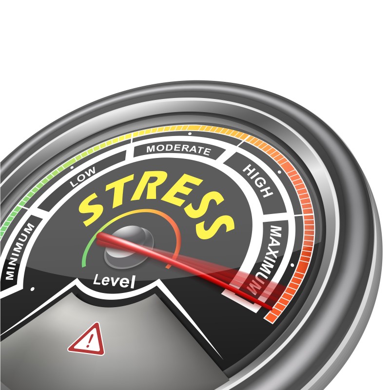 vector stress conceptual meter indicator