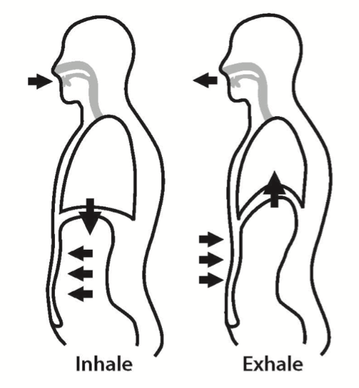 inhale exhale yoga