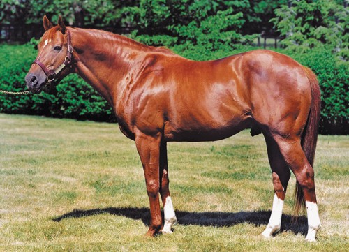 Secretariat_0