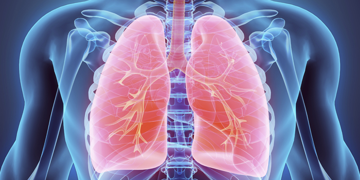 Coaching & Clinic log 1: Rib Flare, Rotation, and Breathing