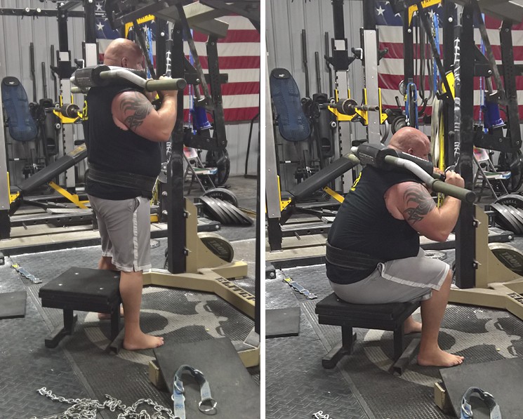 safety squat bar low box squats