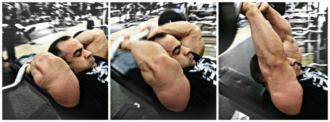 Primary Chest, Shoulders & Triceps