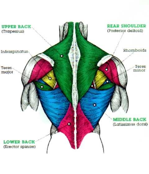 Bench Volume and Avoiding Pain (430x5)