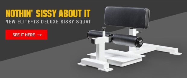 sissy-squat-home