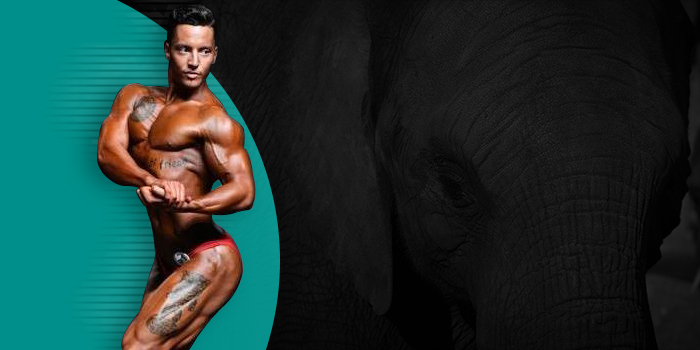 14 Things About Bodybuilding and Building Muscle That I Know to Be True 