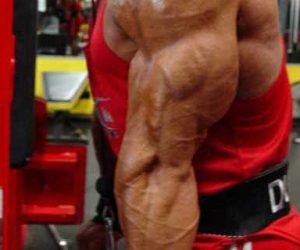 Bodybuilding Day: Back and Triceps