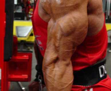 Bodybuilding Day: Back and Triceps