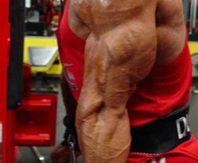 Bodybuilding Day: Chest, Shoulders, Triceps