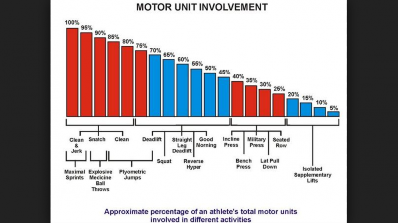 CF motor unit