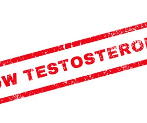 Q&A: Boost Testosterone Levels Naturally with the Correct Nutrition Strategies