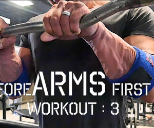 Training Updated/Forearms