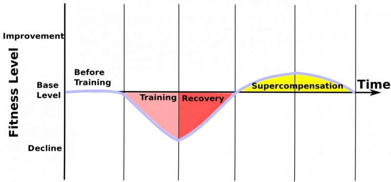 Supercompensation Curve