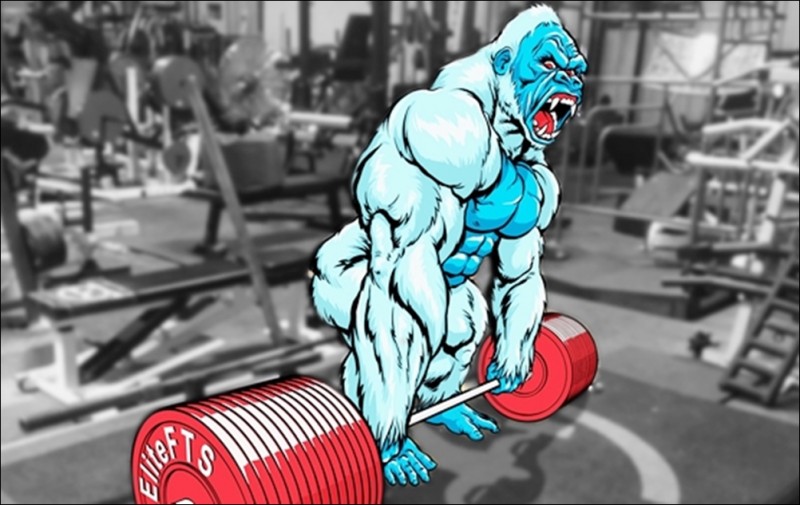 deadliftgorillaedited size1000