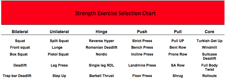 Programs To Stimulate Size And Strength