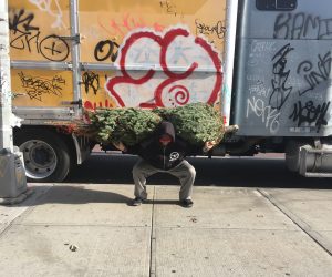 Off Season: New York Tree Carry AND Workout 2