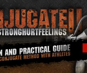 New eBook by Nate Harvey Available for Purchase: ConjugateU