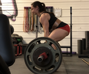 My training update: January