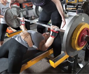 Bench / Floor Presses