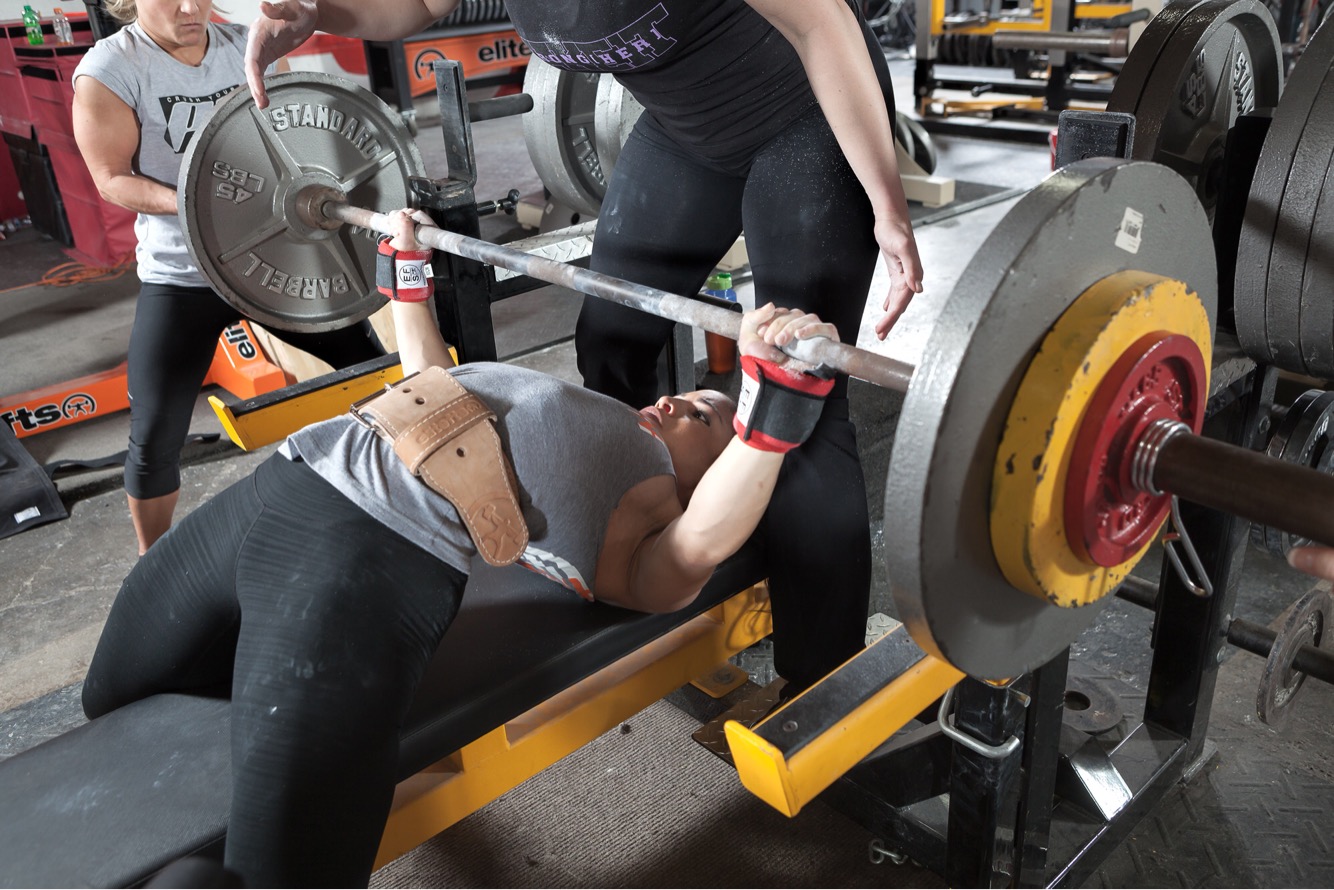 Bench / Floor Presses