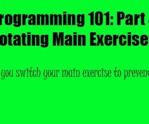 Programming 101: Part 4 Rotating Main Exercises