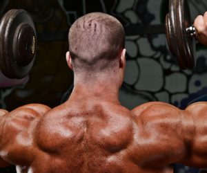 Bodybuilding Day: Chest, Shoulders, Triceps