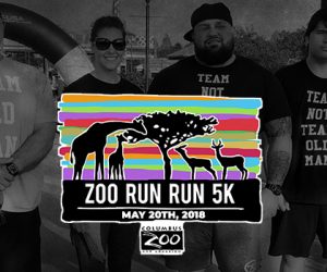 2018 Zoo Run Run: Team Not Team Old Man vs. Team Old Man