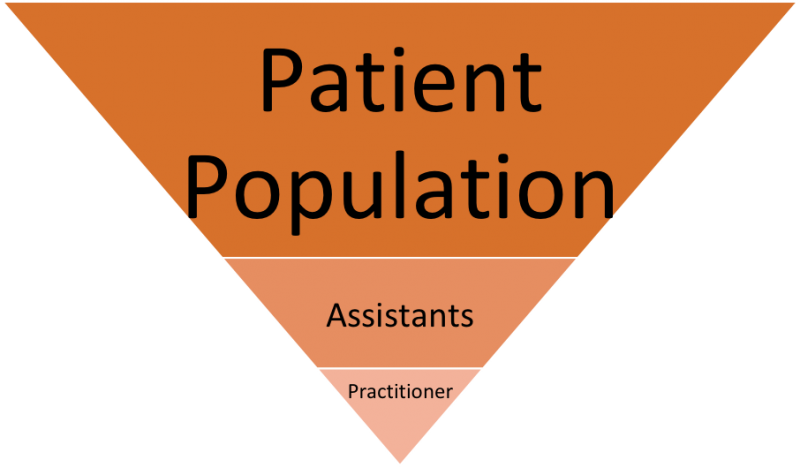 patient population