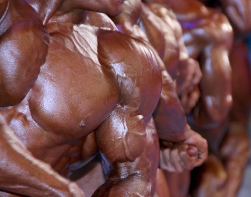 4141536 - huge group of muscular male chests