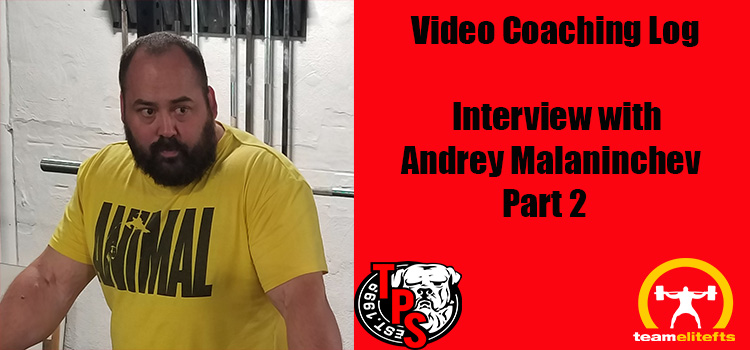 Part 2: Interview with Andrey Malanichev-Video Log
