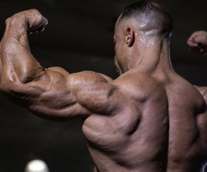 Maximizing Triceps Development 