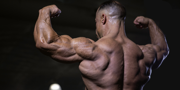 Maximizing Triceps Development