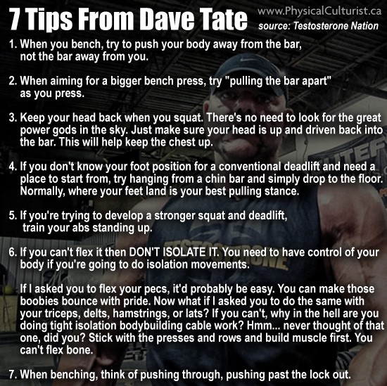 7davetatetips