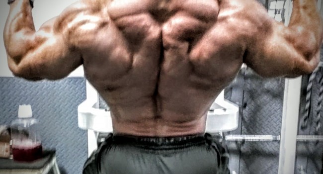 Back & Biceps