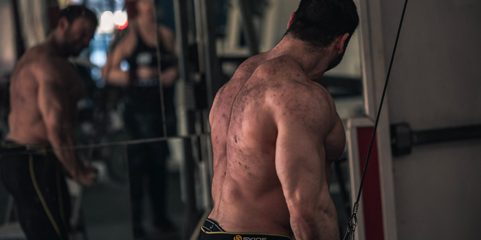 Powerlifting for the Bodybuilder — The Triceps