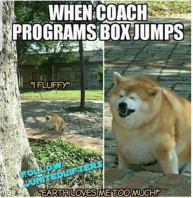 box jumps