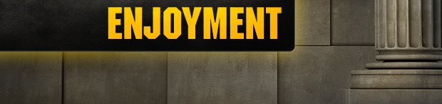 enjoyment
