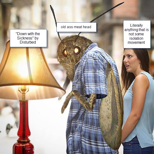 moth lamp