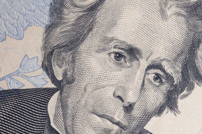 Portrait of Jackson from one twenty dollars bill