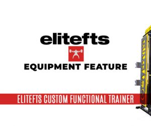 Equipment Feature — elitefts Custom Functional Trainer