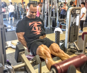 Leg Training