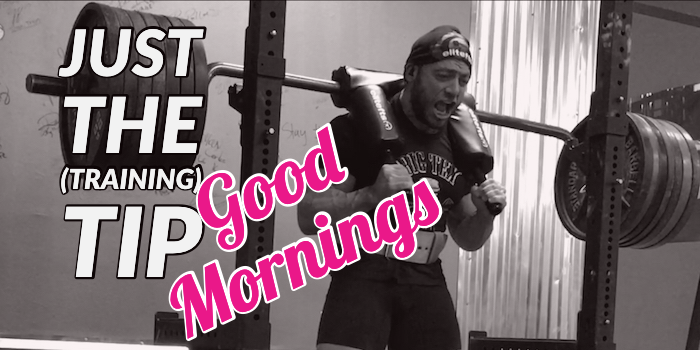 JUST THE (TRAINING) TIP: Good Morning Variations