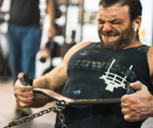 A Bodybuilding  Offseason (with Full Program) for the Powerlifter