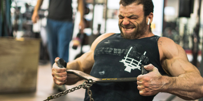 A Bodybuilding  Offseason (with Full Program) for the Powerlifter