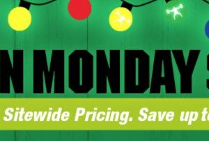 Green Monday: The Ninja Version of Cyber Monday